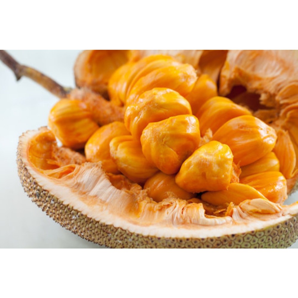 BUAH CEMPEDAK UKURAN SEDANG 1 BUAH (BUAH SEGAR)