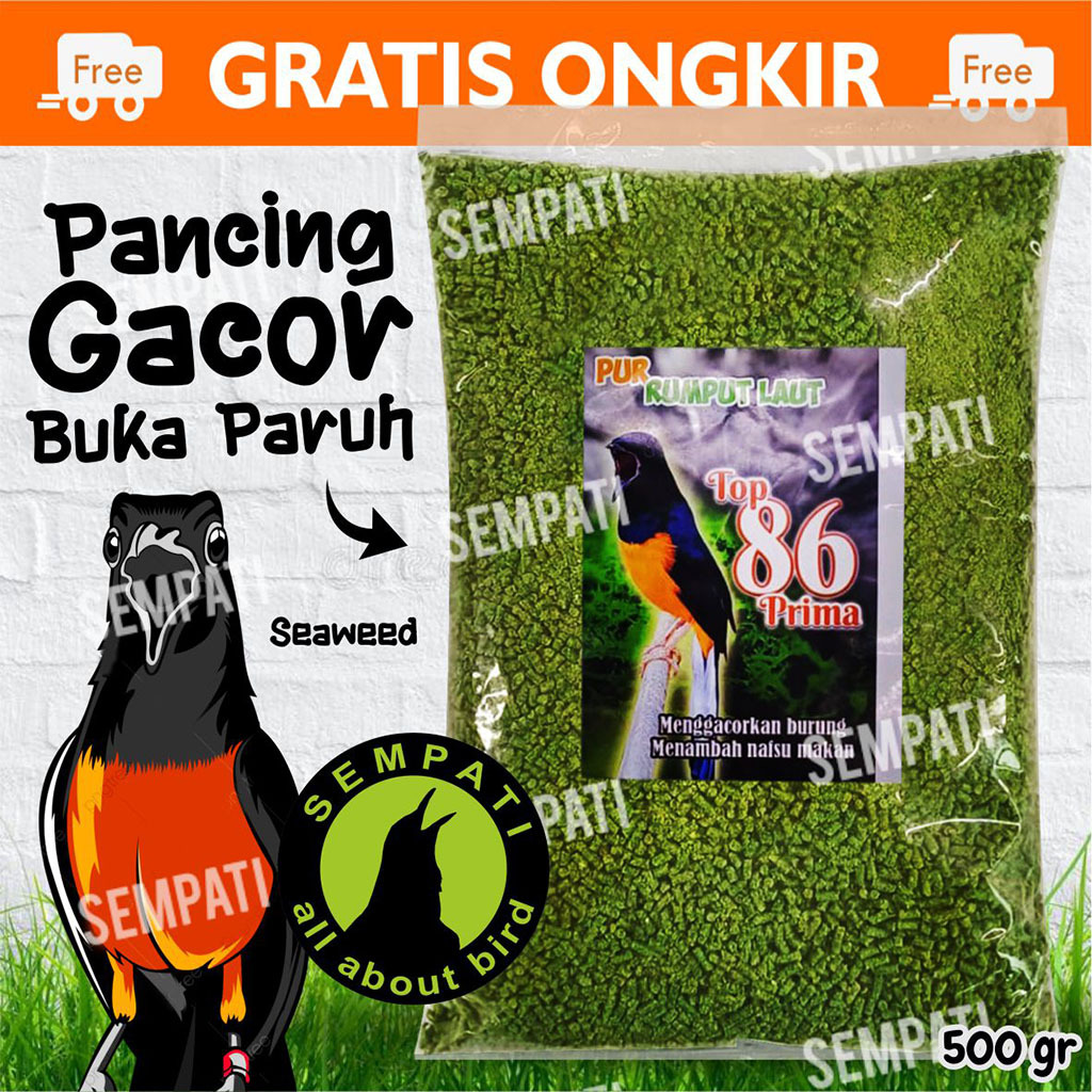 SEMPATI Pur Rumput Laut Top 86 Prima Voer Pakan Makanan Penggacor Burung Murai Kacer Cucak Trucuk An