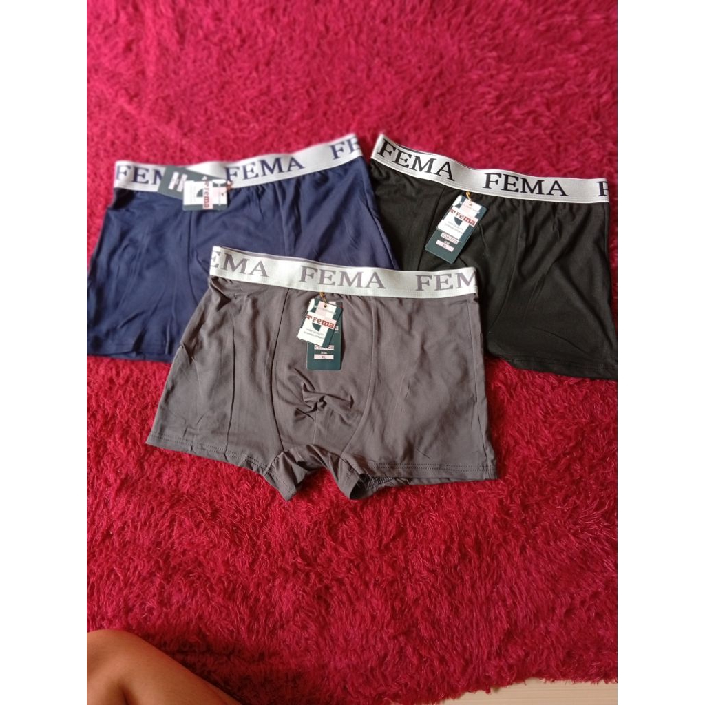 Fema Celana Dalam Pria