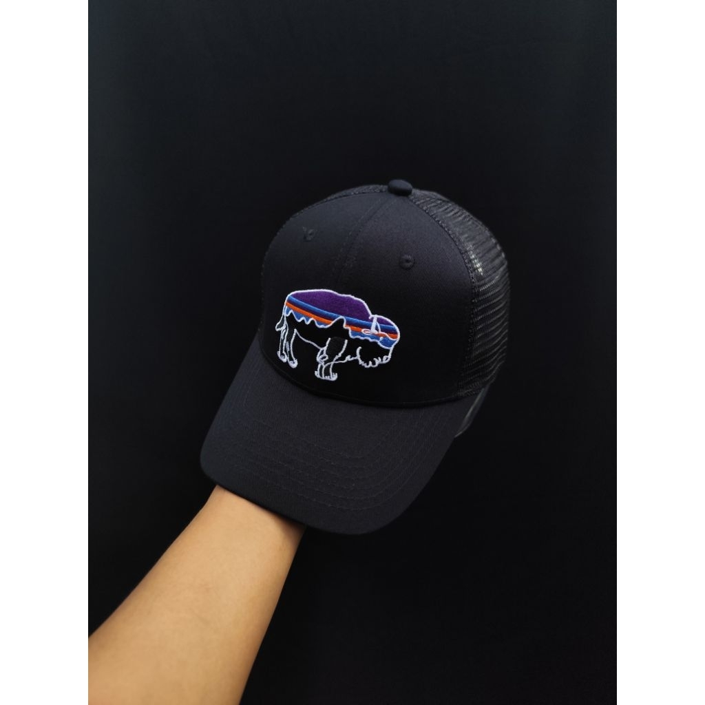 Patagonia Trucker Hat