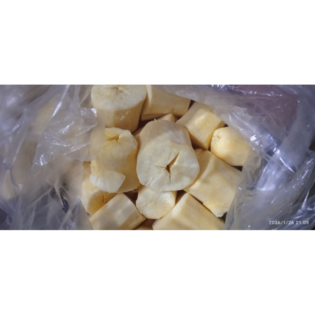 Tape Singkong Kuning Ashli KEDIRI