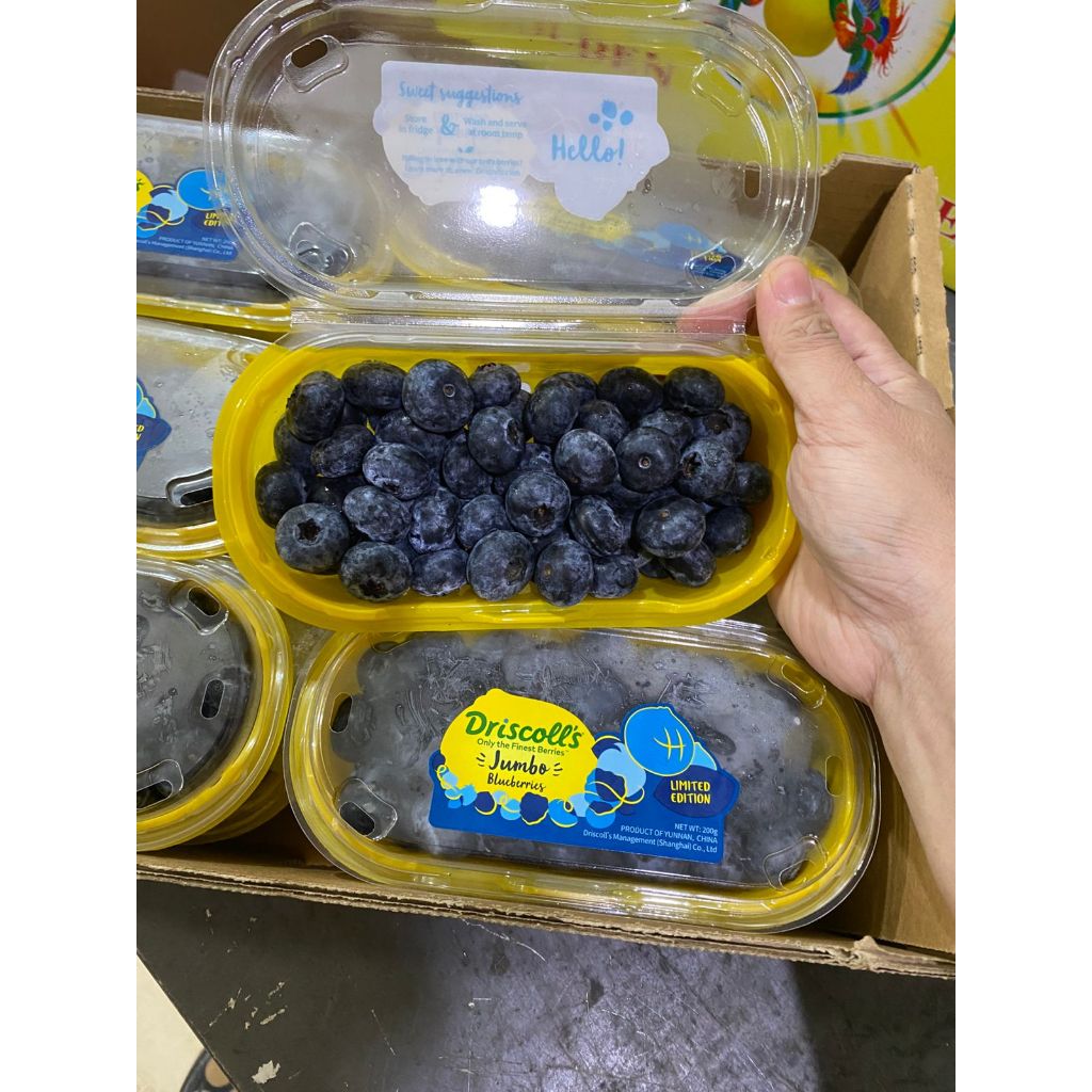 BLUEBERRY.BESAR. ENAK DAN JUMBO. BLUEBERRY ENAK SEGAR FRESH
