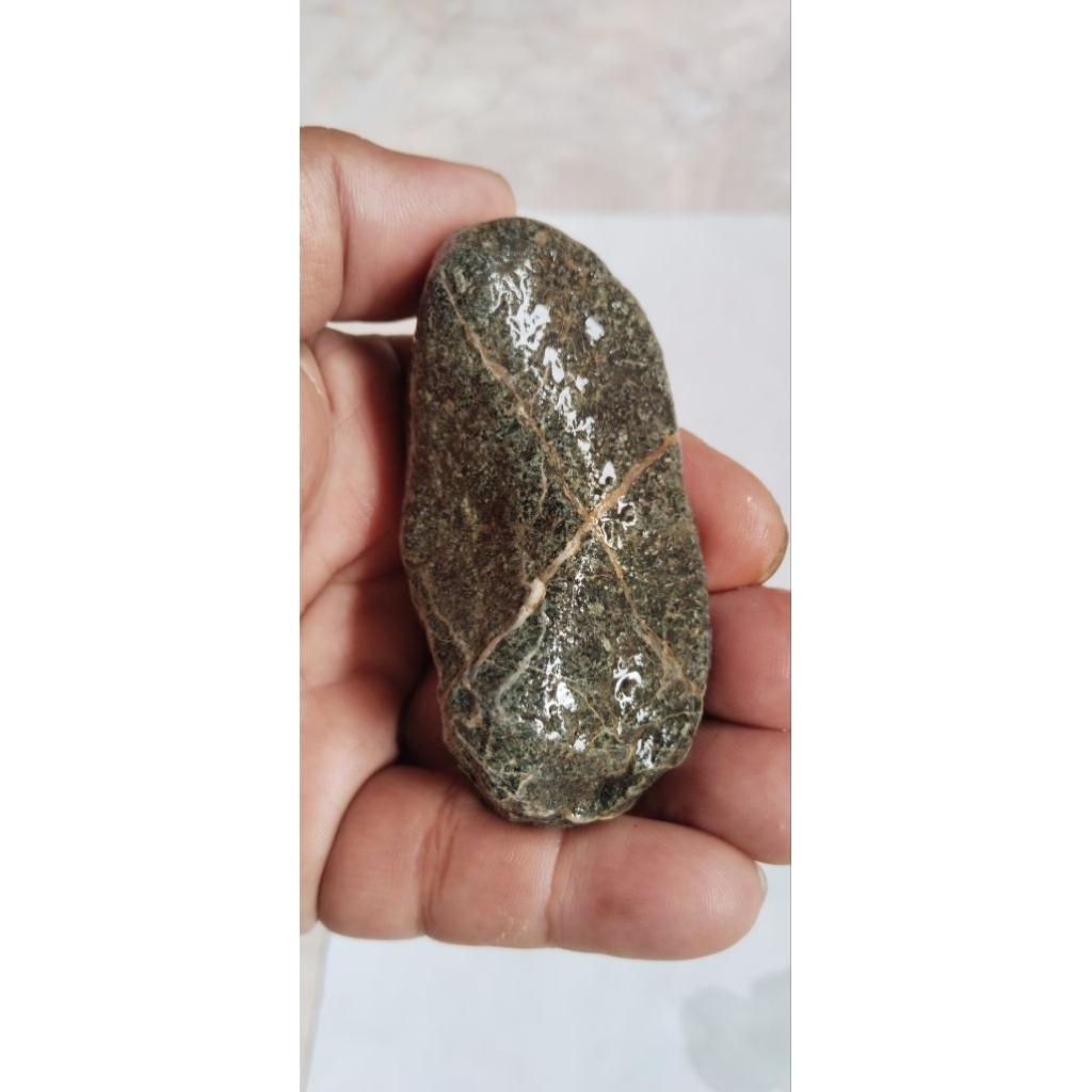 ROUGH BAHAN BATU AKIK MOTIF TAPAK JALAK DOBEL ( 1 BAHAN ADA 4 MOTIF TAPAK JALAK) BATUAN KORAL SUNGAI