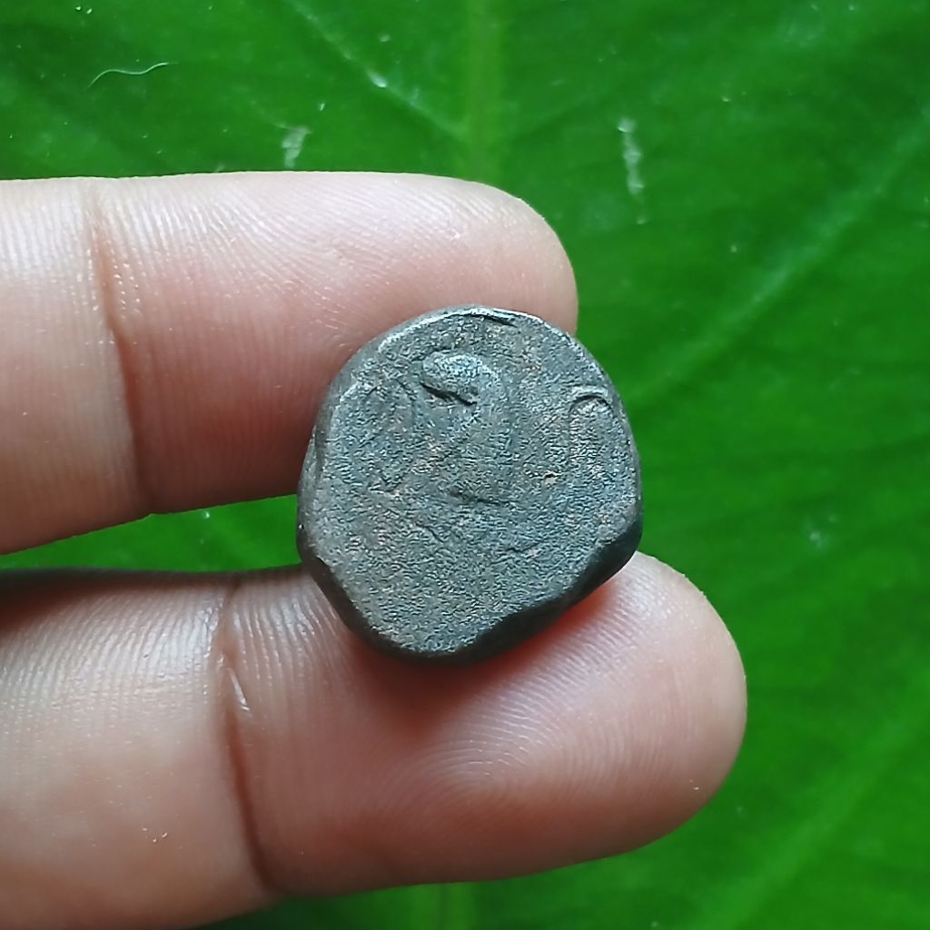 Koleksi Temuan Sungai Koin KUNO era Kerajaan Chola India