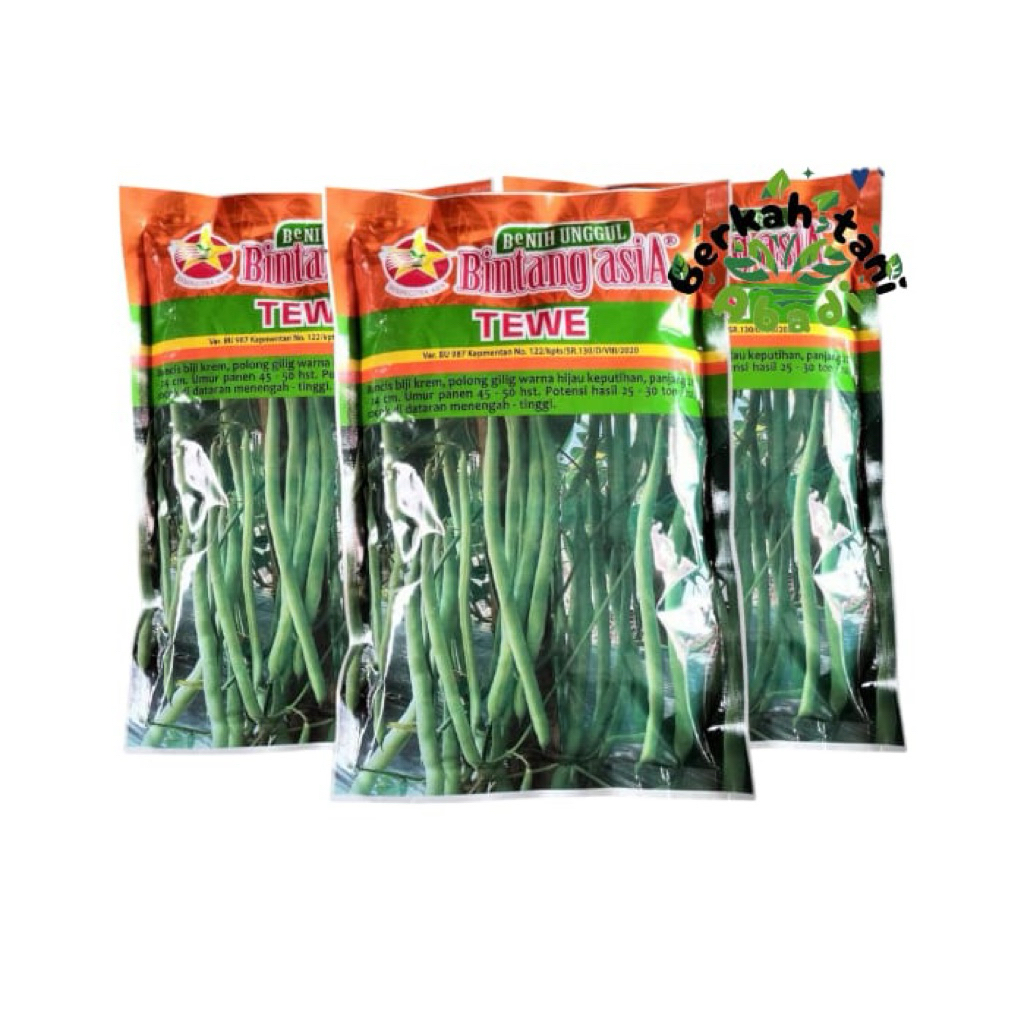 Buncis Tewe 500gr bibit buncis biji hitam