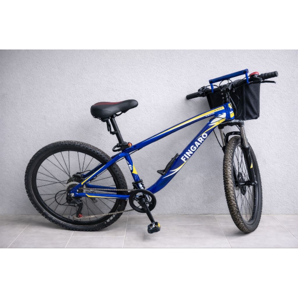 SEPEDA MTB FINGARD SC 80 D