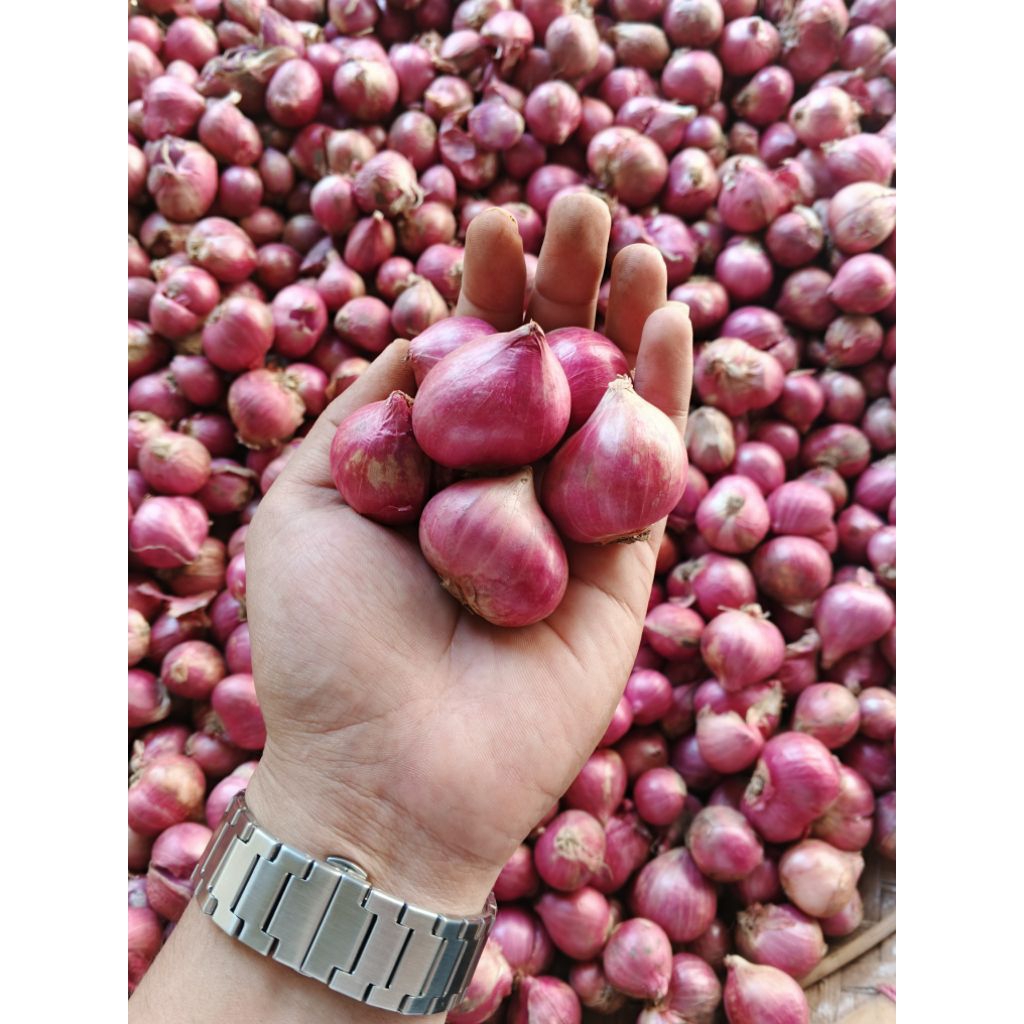 Bawang Merah Bima 1kg Kualitas Super