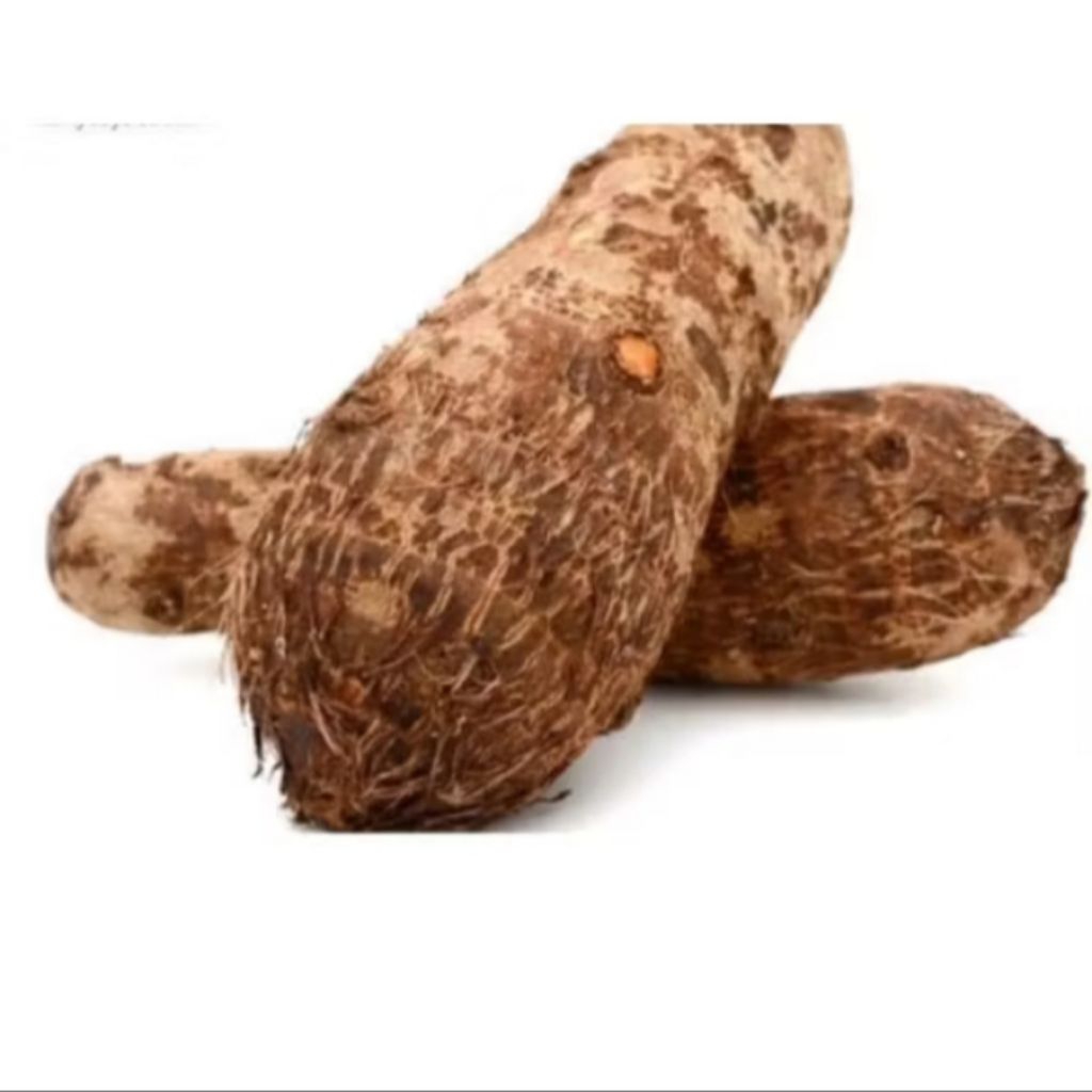 talas / ubi talas / mbothe / kimpul