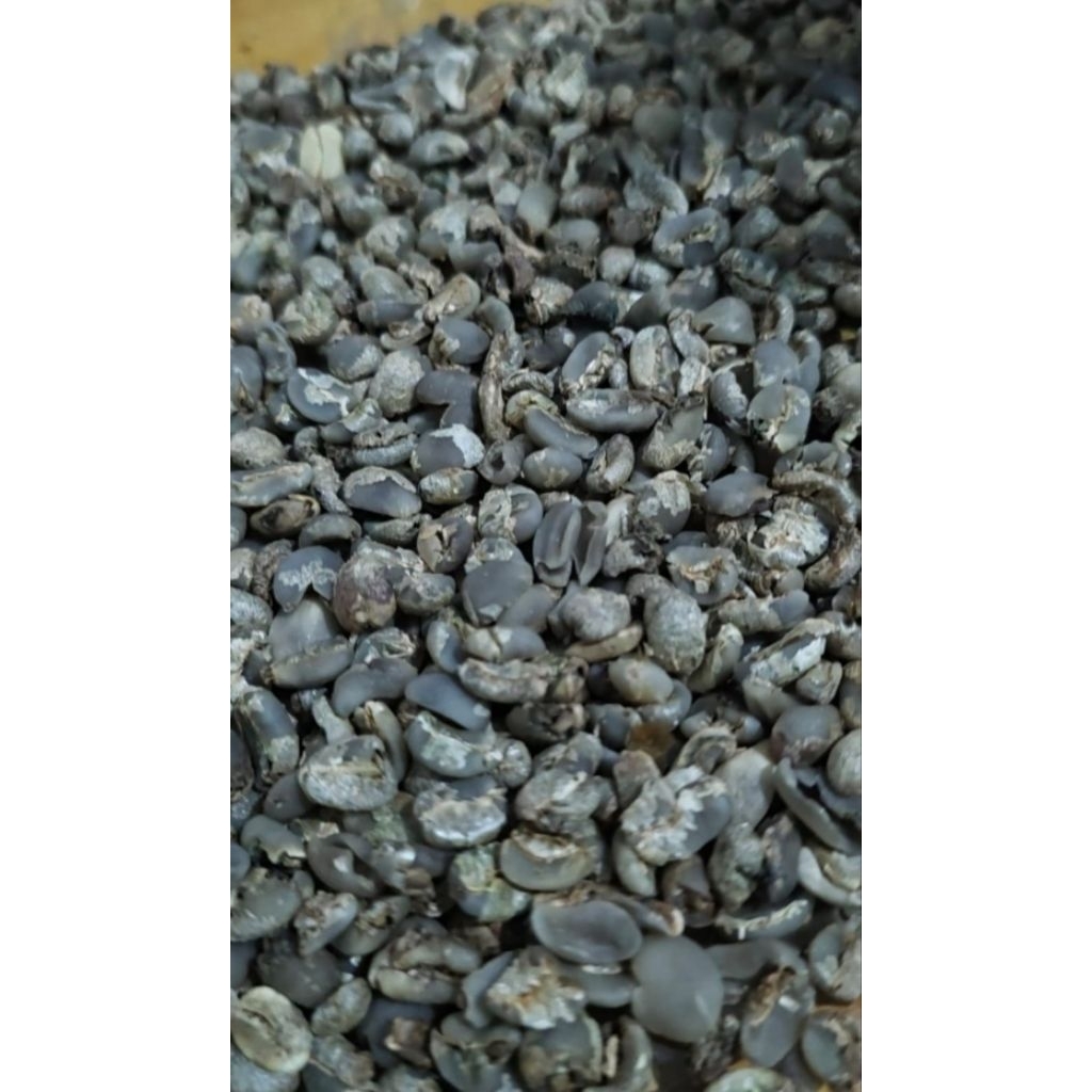 Green Bean Arabika Lintong Grade 3