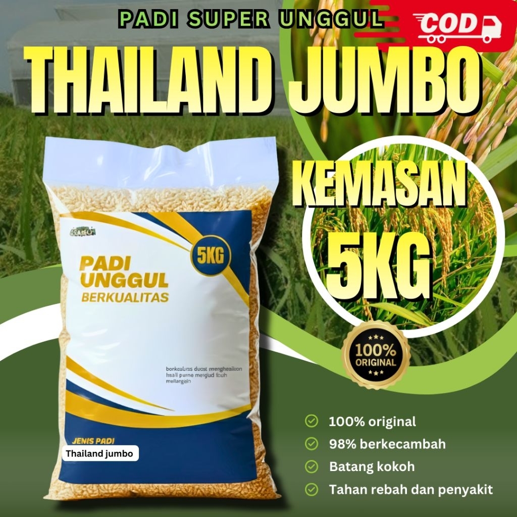 Bibit padi Thailand jumbo kemasan 5kg 100% original