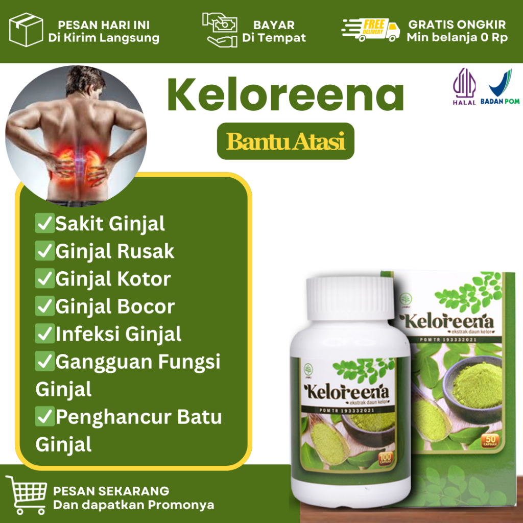 Obat Untuk Sakit Ginjal, Infeksi Ginjal, Ginjal Rusak, Ginjal Kotor, Ginjal Bocor, Gangguan Fungsi G