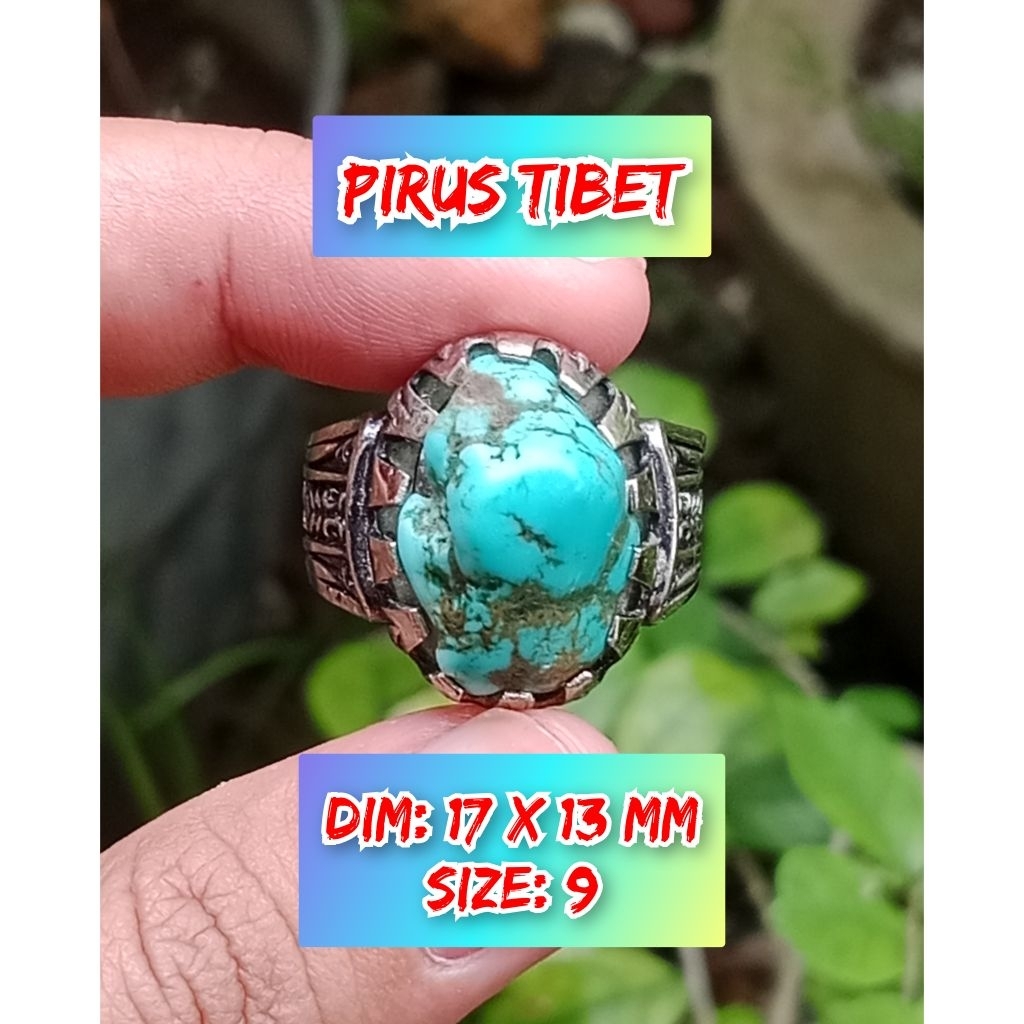pirus Persia batu akik asli pirus Persia siap pakai.13