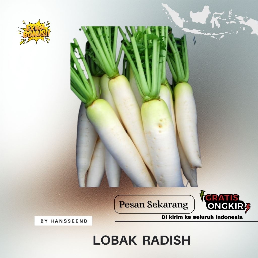 (500 biji) BENIH LOBAK PUTIH RADISH UNGGUL | EXTRA BONUS
