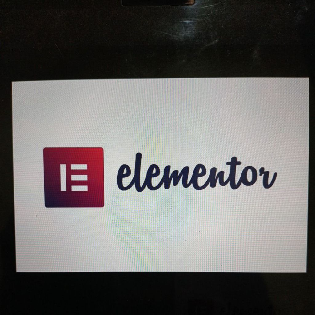Elementor Pro