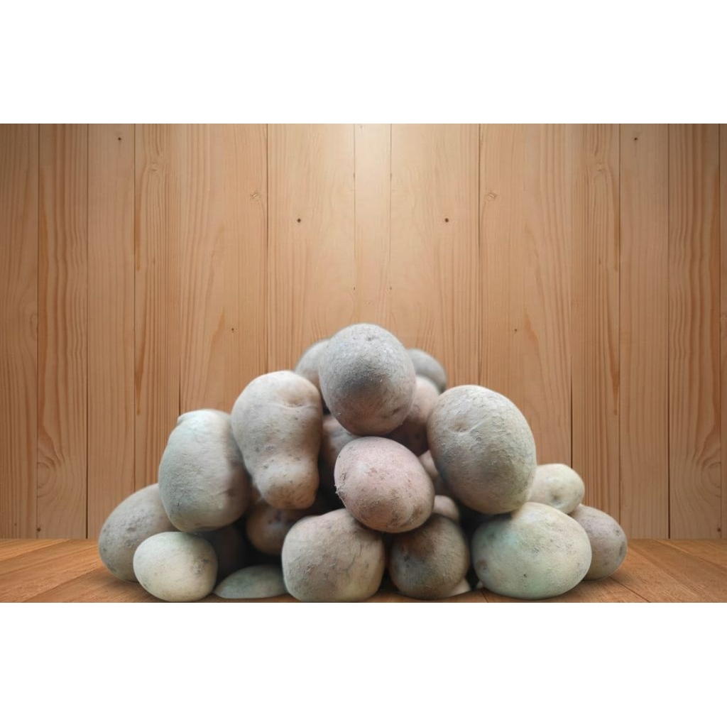 KENTANG MENTAH 1 KG FRESH