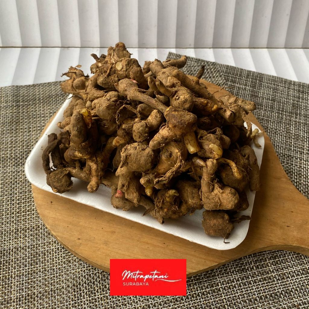Rempah temu kunci 250 gram, Temu Kunci rempah, temu kunci segar