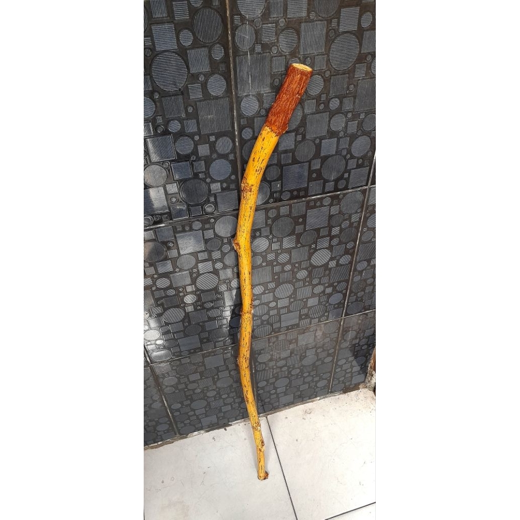 Tongkat kayu asem jawa