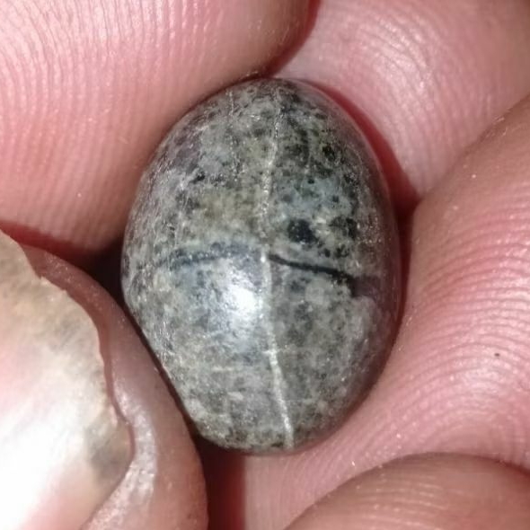 Batu Tapak Jalak Asli Semeru