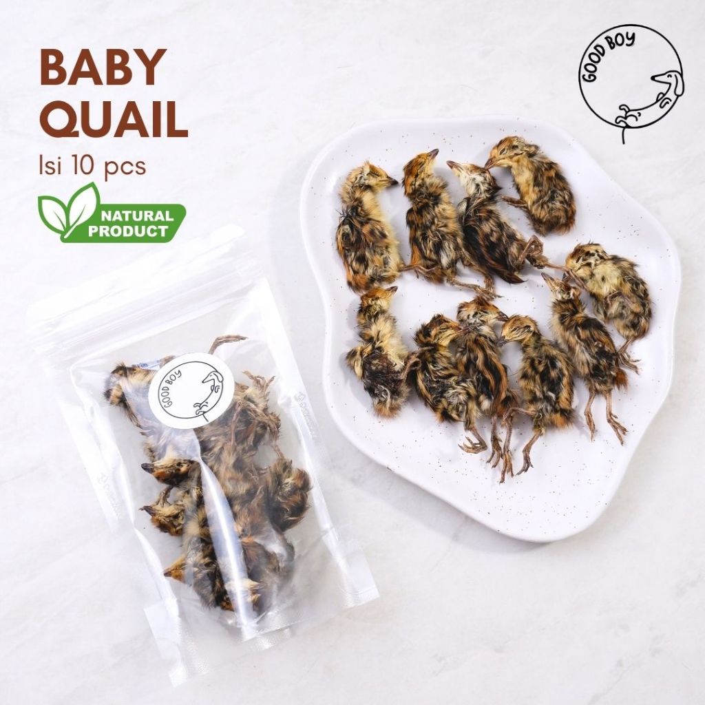 Good Boy Dehydrated Baby Quail Burung Puyuh Cemilan Jerky Anjing Natural Organic
