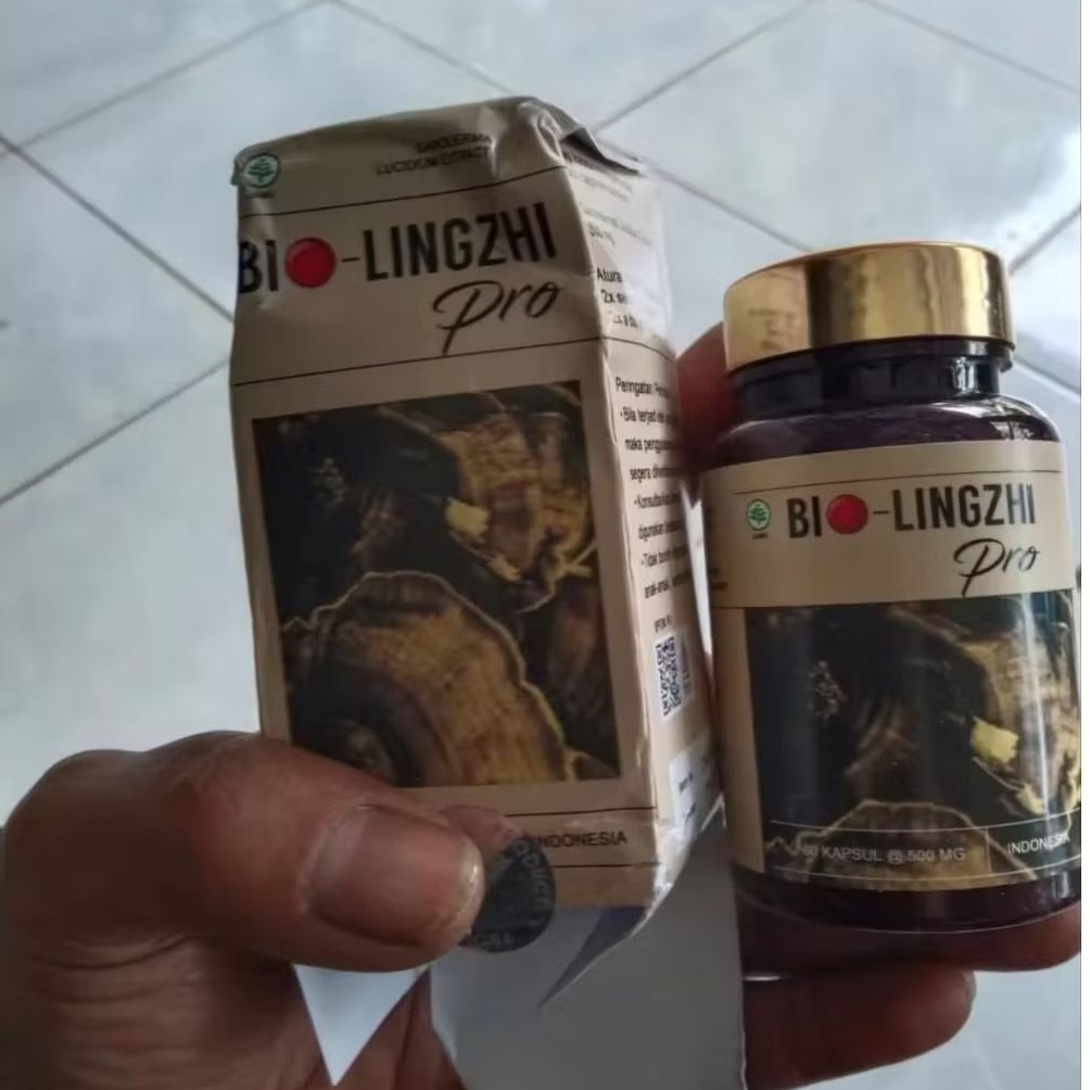100% Original bio herbal Lingzhi pro Asli ori