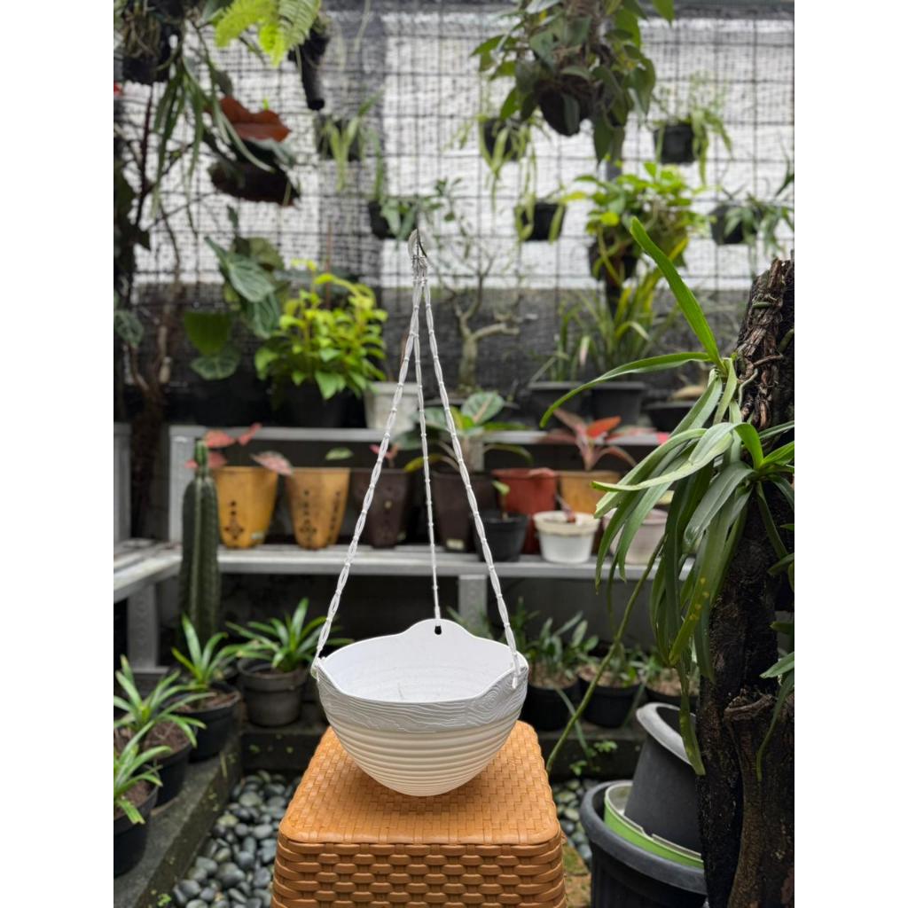 Pot Gantung Lovenia S/L Plastik Tebal Grosir