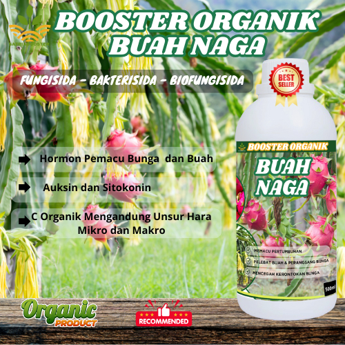 PUPUK BOOSTER BUAH NAGA 500ML// Perangsang Pelebat Pembesar Buah Naga //