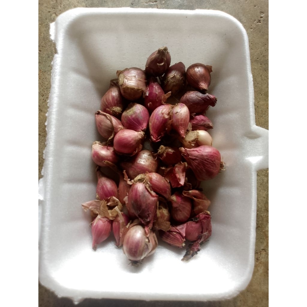 1kg bawang merah besar sedang baru fress wangi bawang jawa