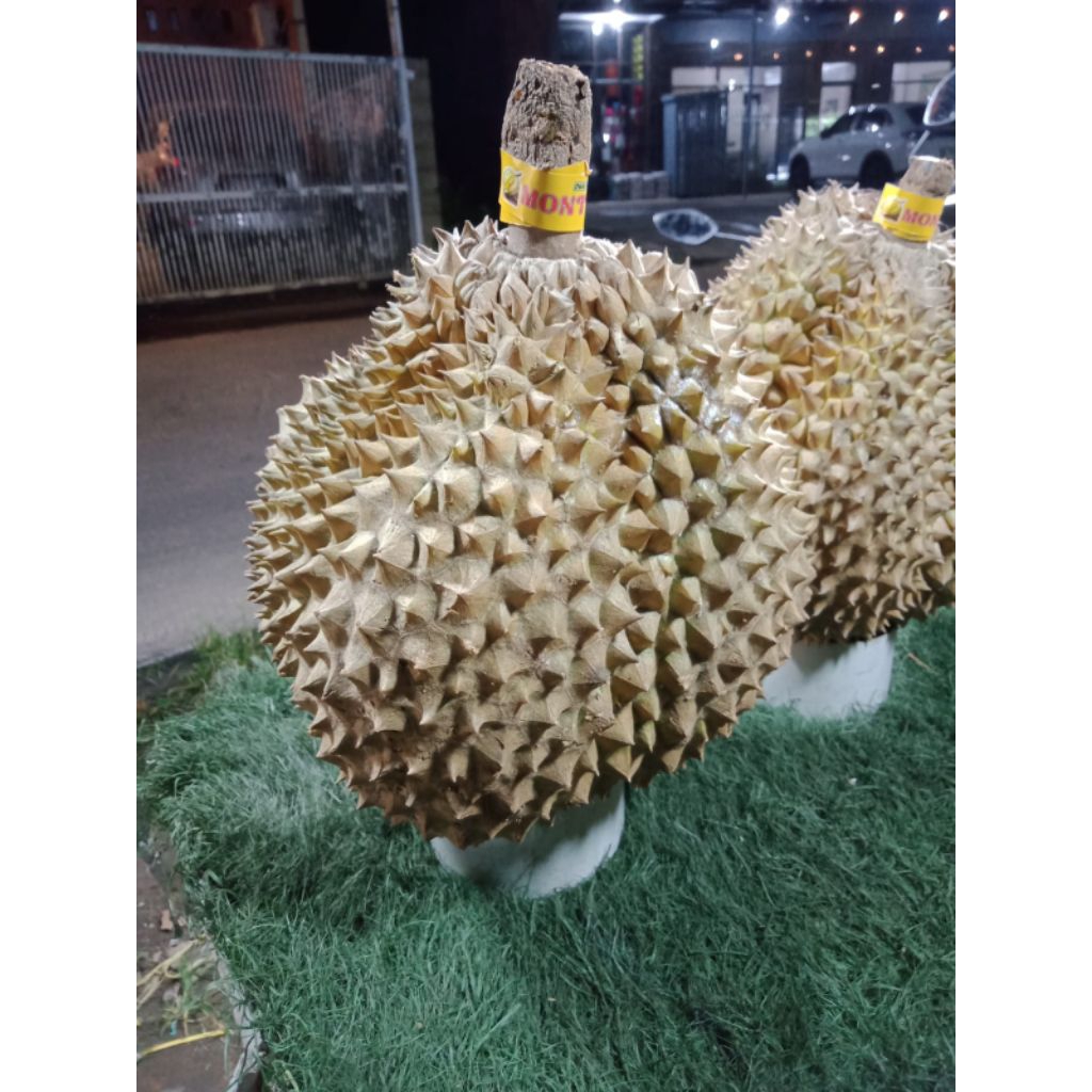 DURIAN MONTONG UTUH/BULAT 5KG