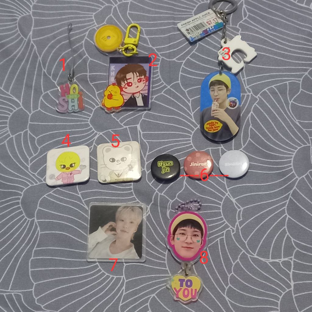 pin official straykids magnet seventeen keychain preloved