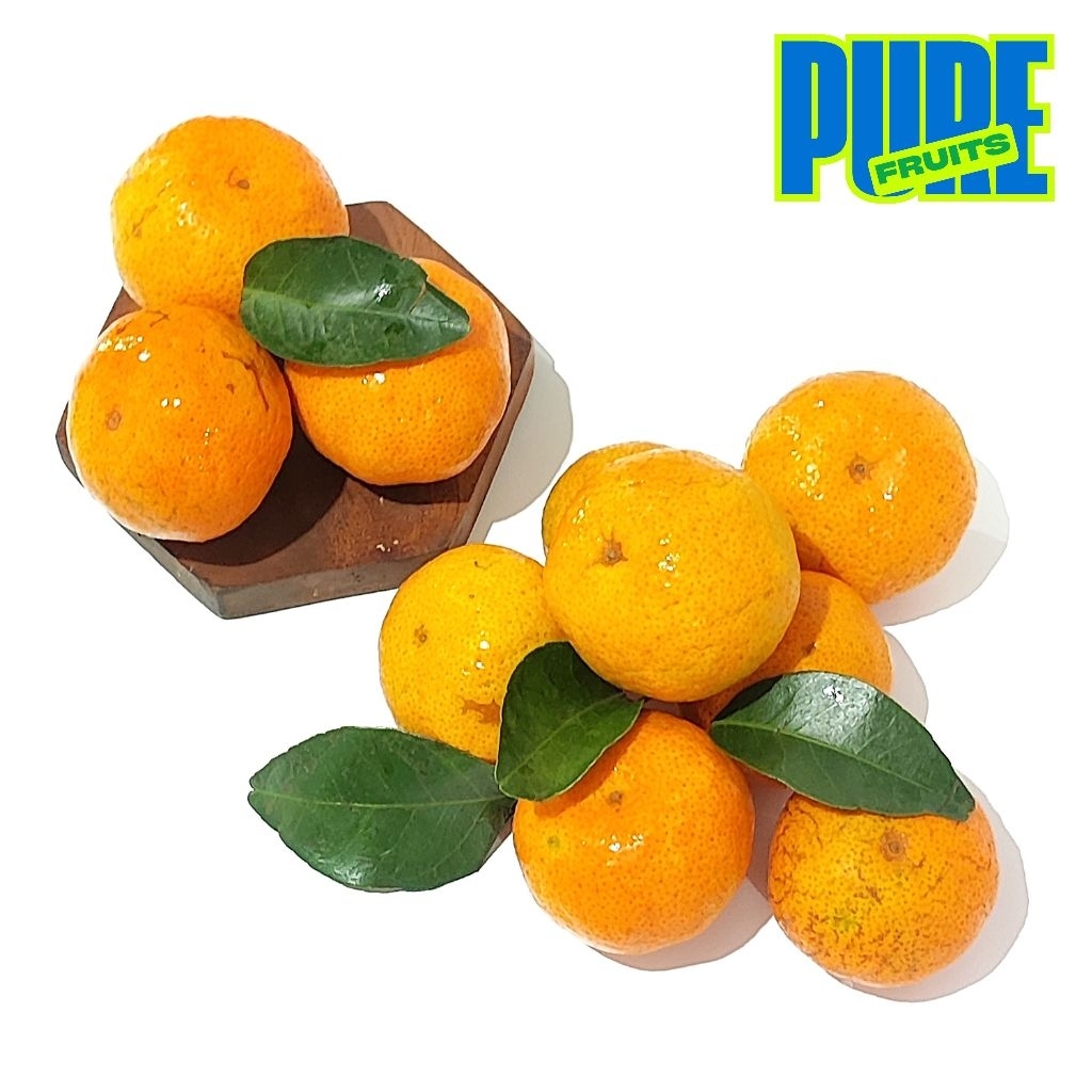 Buah Jeruk Santang Daun Manis Segar