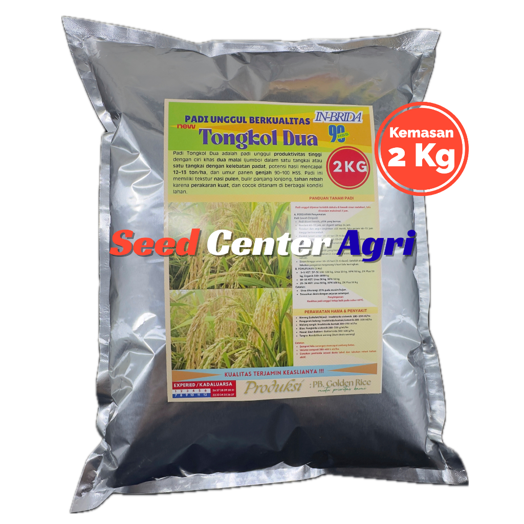 Benih Padi Tongkol 2 / Bibit Padi Tongkol 2 Jumbo Kemasan 2 Kilogram 100% Original