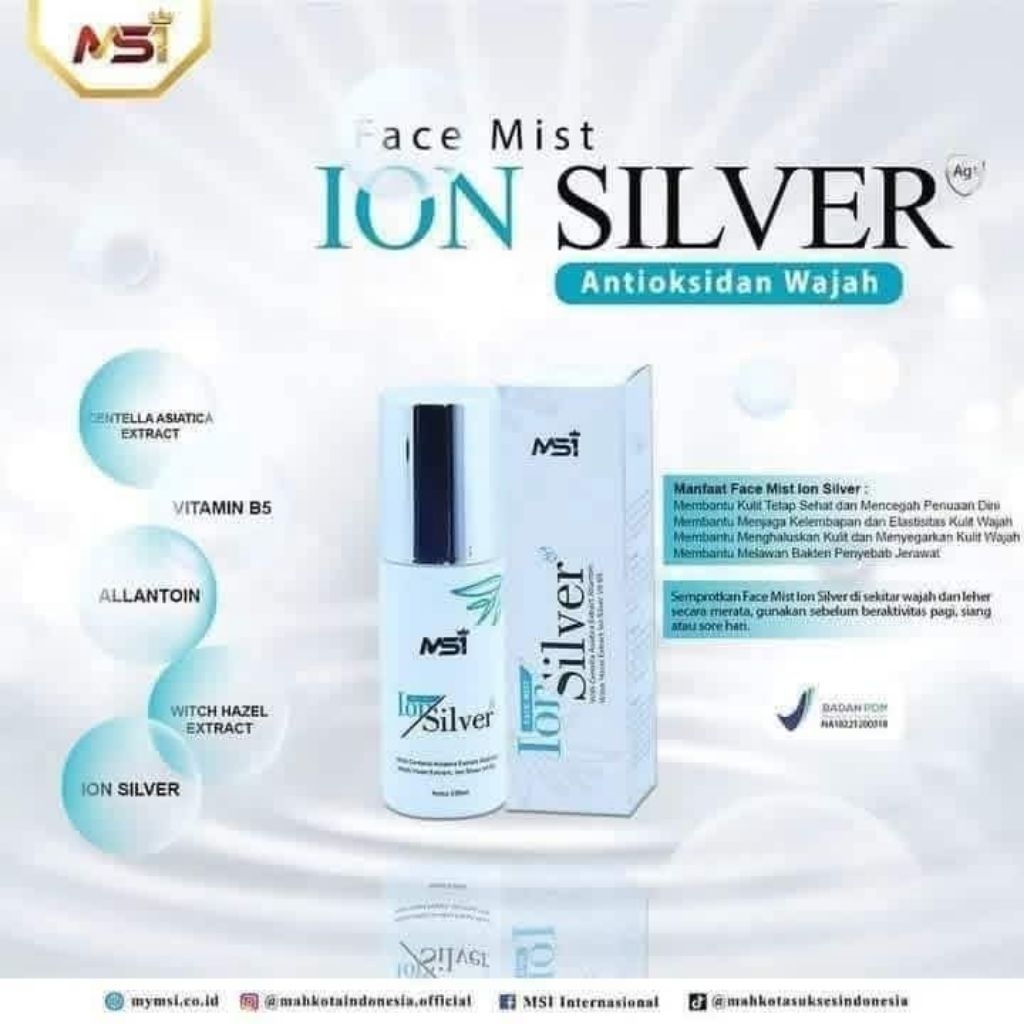 Ion Silver MSI
