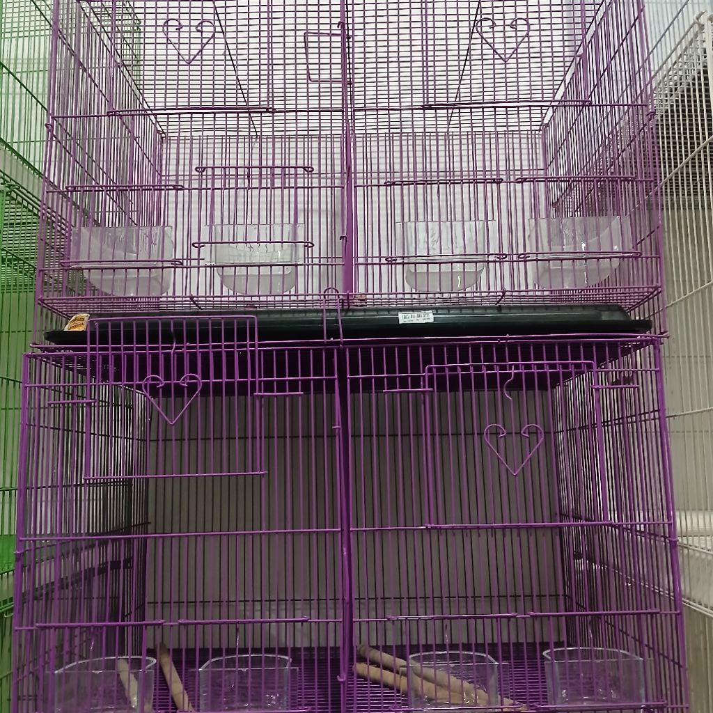 0782-SANGKAR UNGU OCTAGON SEKAT BESAR