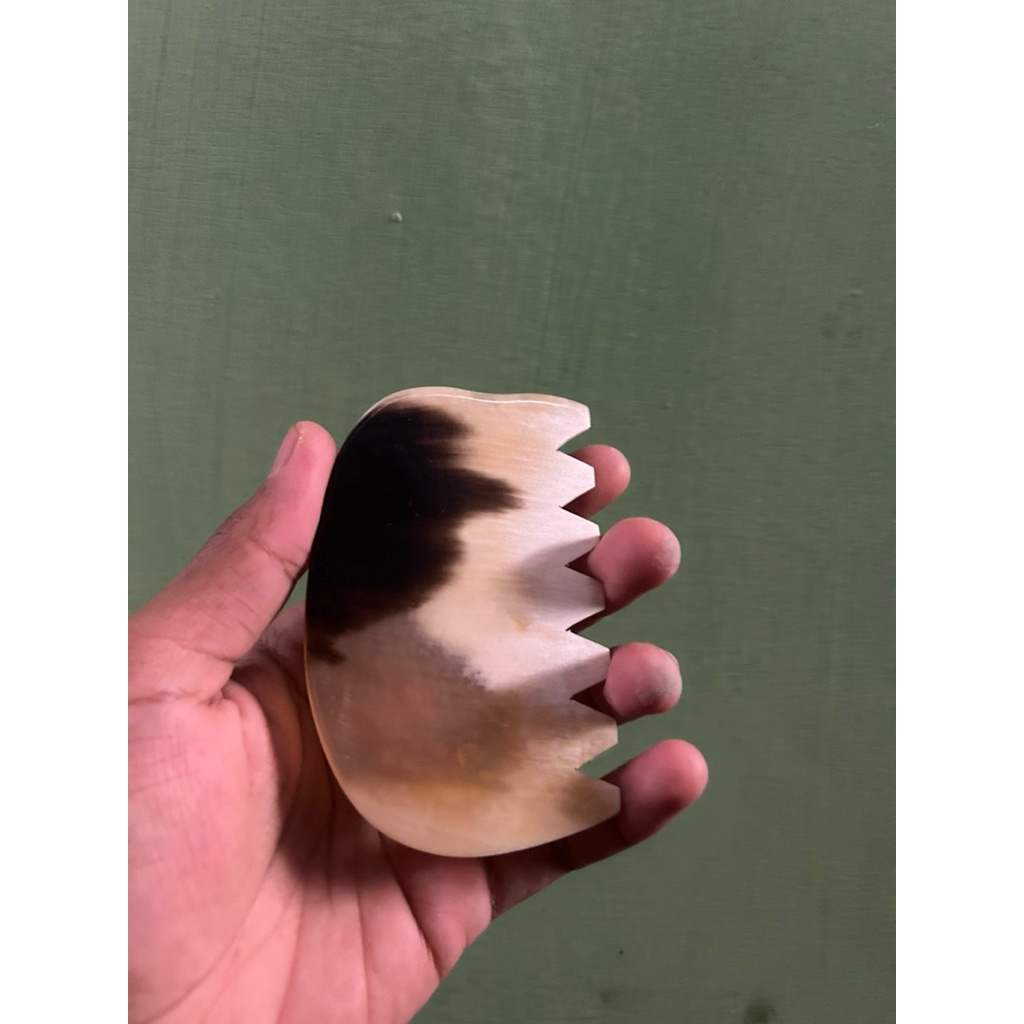 gua sha alat pijat terapi bentuk bergerigi bahan tanduk kerbau