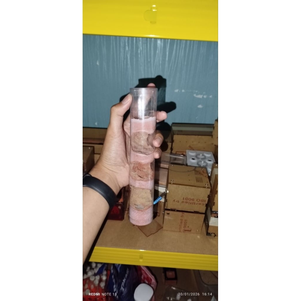 formicarium kandang semut bertingkat ratu koloni