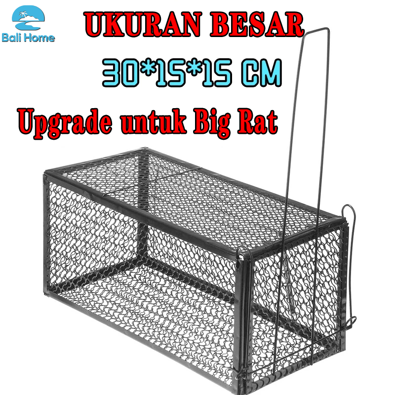 GROSIR Jebakan Perangkap Tikus/alat perangkap tikus super ampuh /perangkap tikus besar ampuh 100%COD