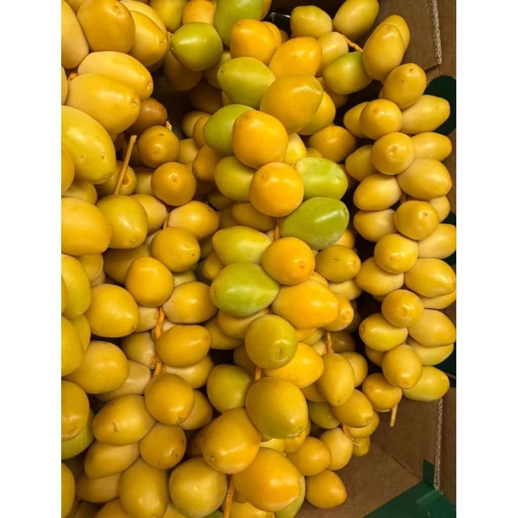 (BACA DESKRIPSI) PO 7 Februari KURMA MUDA Namibia KUNING 1kg  free tespek |promil medan