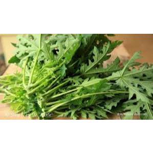 DAUN PEPAYA 1IKAT / GODONG PAPAYA KATES PER IKAT UNTUK LALAPAN FRESH