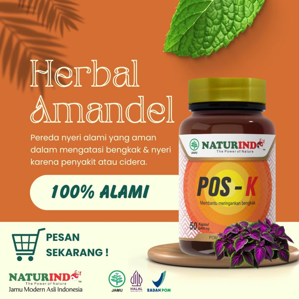 POS K Herbal untuk Amandel Gondokan Kelenjar Getah Bening Benjolan dan Lipoma Naturindo Original