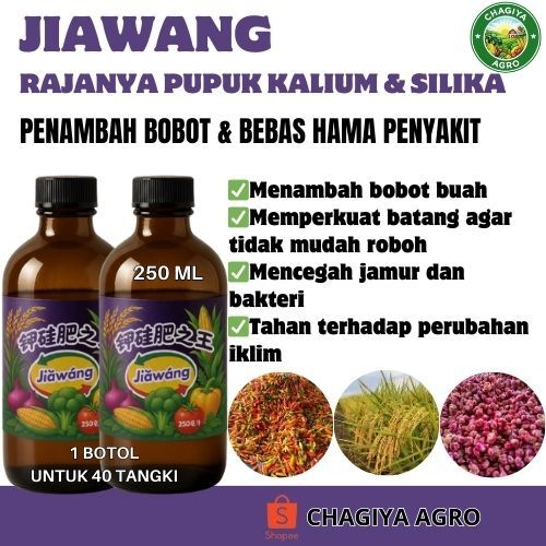 JIAWANG JIA WANG Rajanya Pupuk Kalium Silika Penambah Bobot Buah
