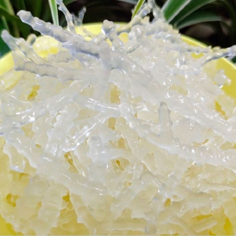 Rumput laut Kering 1Kg