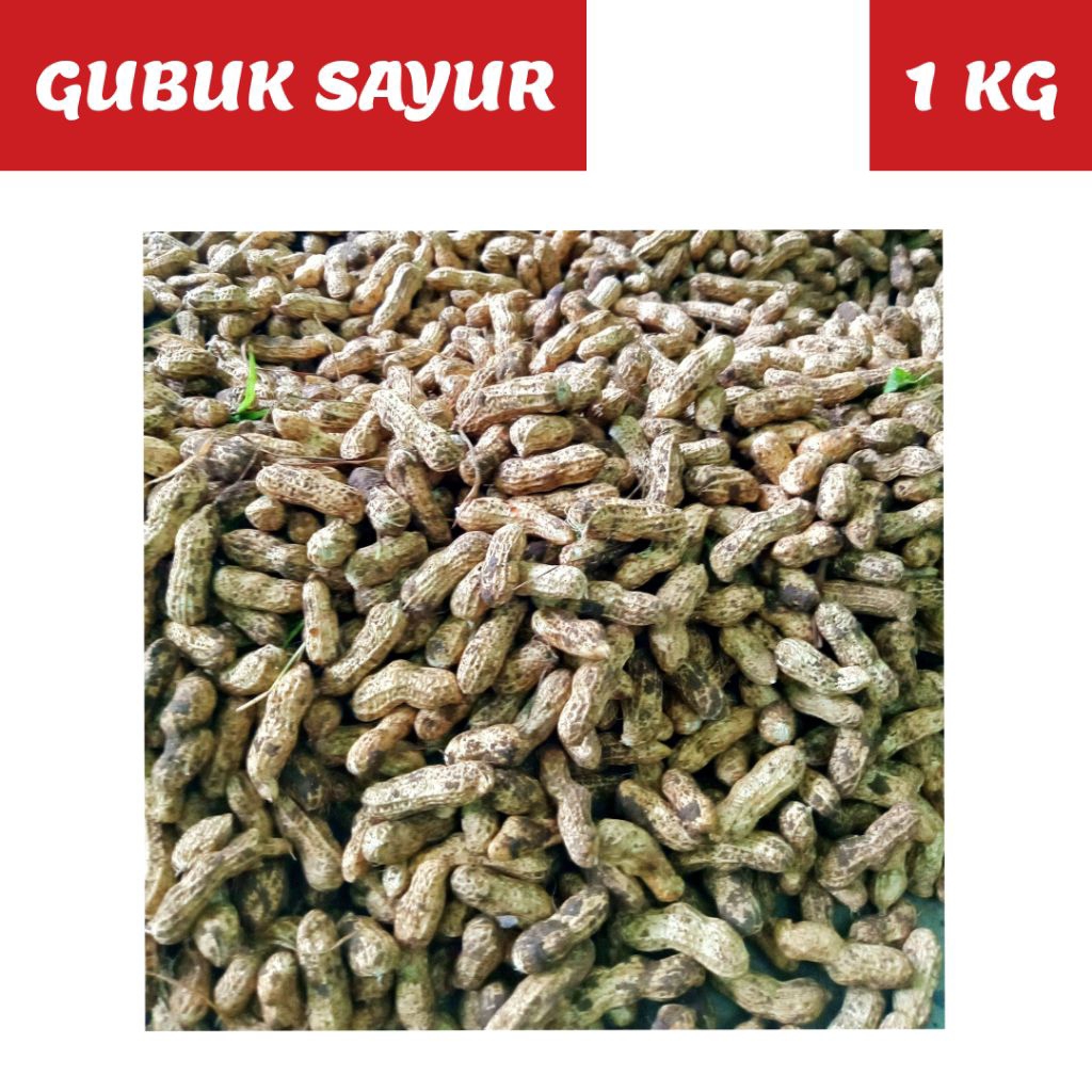 Kacang tanah mentah berkulit 1 kg
