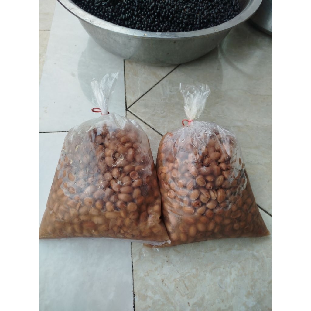 Kacang Presto Umpan Pancing Galatama Ikan Bawal
