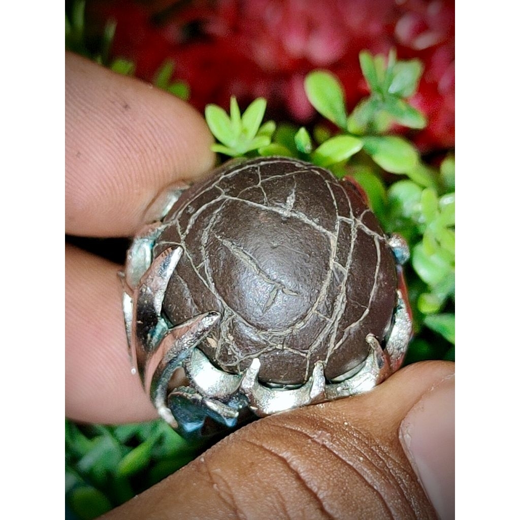 akik jolo sutro jala sutra serat perak timbul