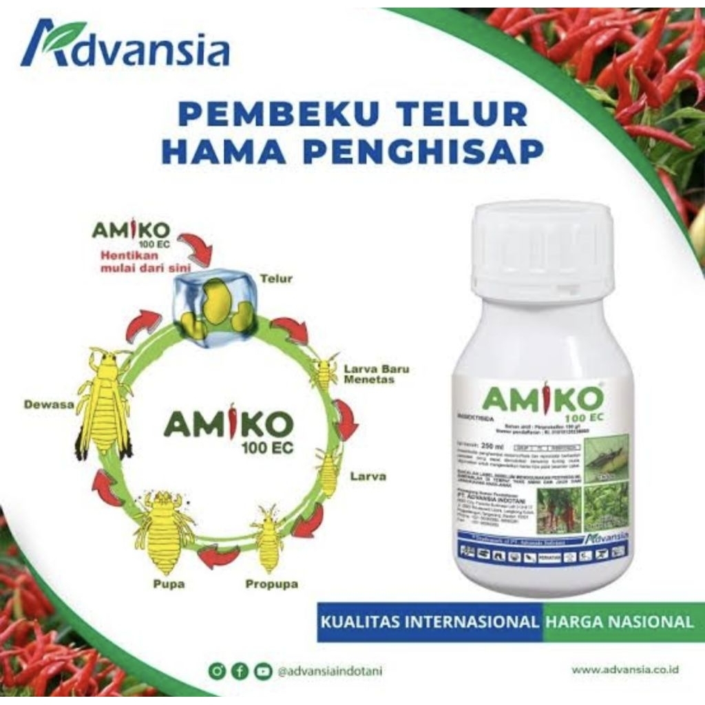 Amiko 100 EC