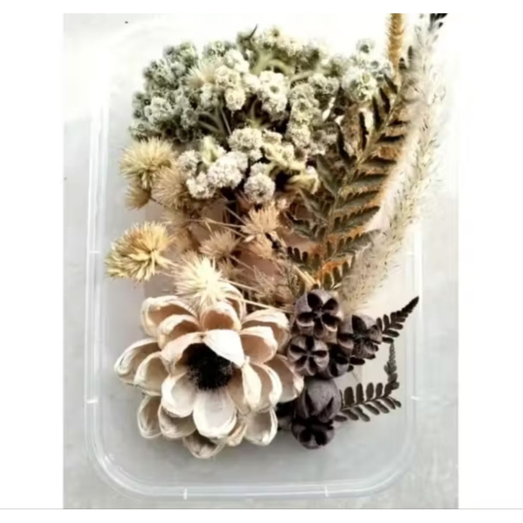 Box Bunga Kering Hiasan Hantaran seserahan