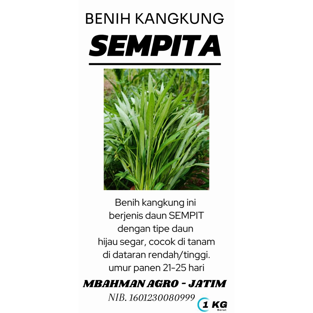 benih kangkung daun sempit 1kg