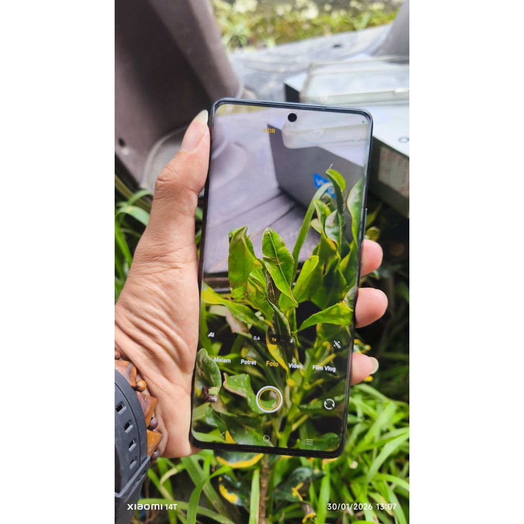 Vivo v25 pro ram 12/256