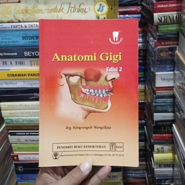 Anatomi Gigi Edisi 2 By Itjingningsih Wangidjaja ORIGINAL