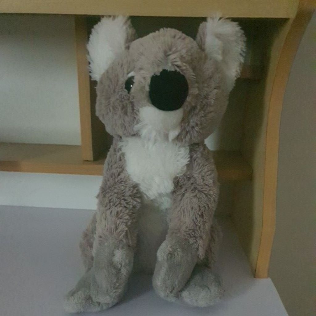 Preloved boneka koala ORI Australia